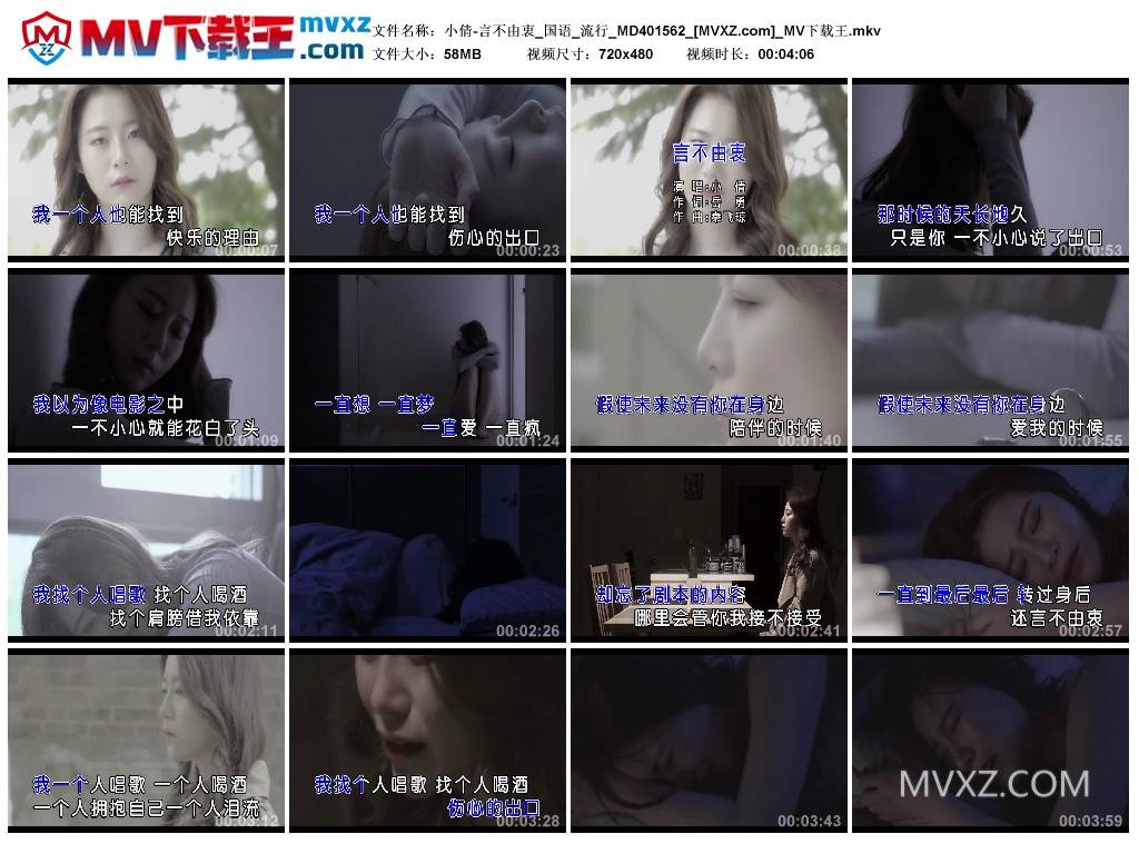 小倩-言不由衷_国语_流行_MD401562